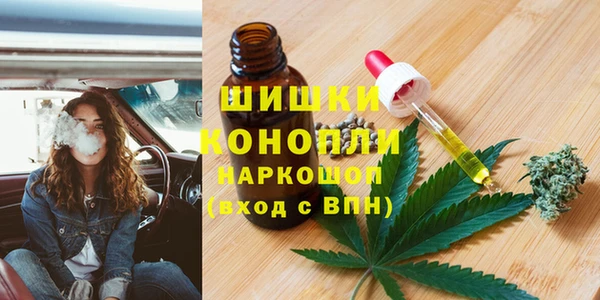 гашик Арсеньев