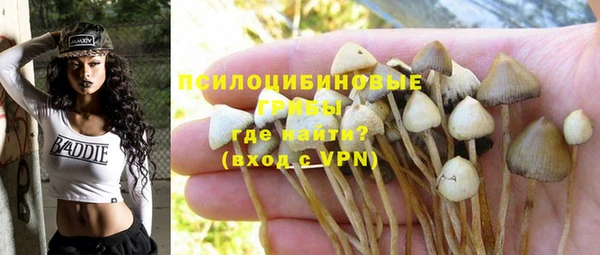 прущий лед Переславль-Залесский