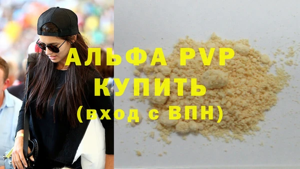 гашик Арсеньев