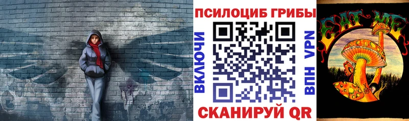 Псилоцибиновые грибы Psilocybe  Тырныауз 